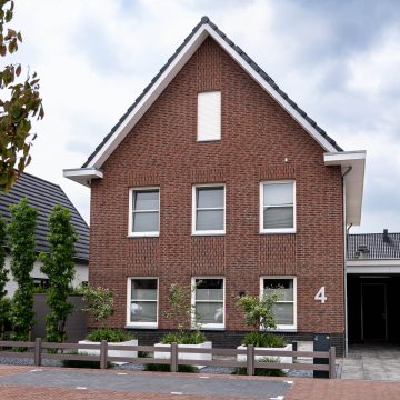 Borstwering in donkere steensoort